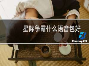 星际争霸什么语音包好