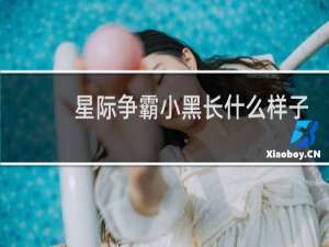 星际争霸小黑长什么样子