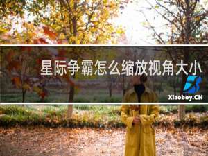 星际争霸怎么缩放视角大小