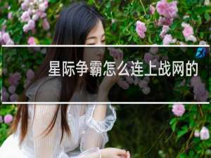 星际争霸怎么连上战网的