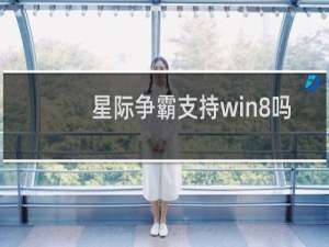 星际争霸支持win8吗