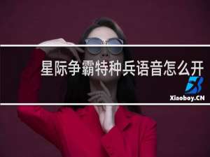 星际争霸特种兵语音怎么开