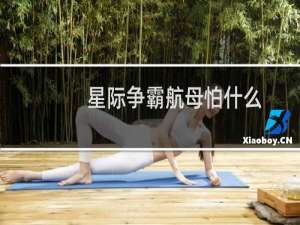星际争霸航母怕什么