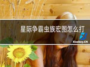 星际争霸虫族宏图怎么打