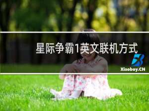 星际争霸1英文联机方式