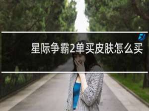 星际争霸2单买皮肤怎么买