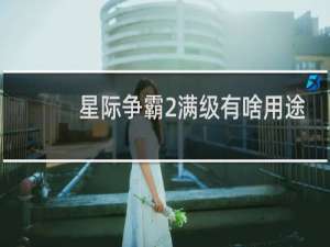 星际争霸2满级有啥用途