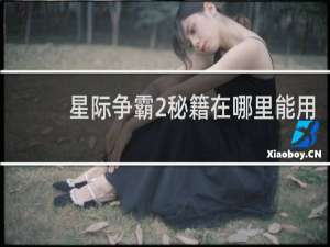 星际争霸2秘籍在哪里能用