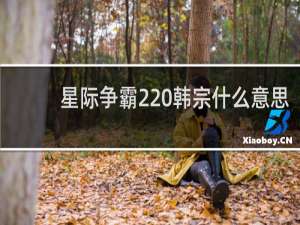 星际争霸2 韩宗什么意思