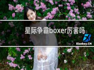 星际争霸boxer厉害吗
