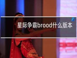 星际争霸brood什么版本