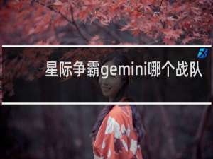 星际争霸gemini哪个战队
