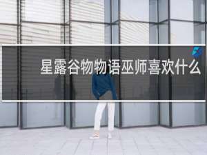 星露谷物物语巫师喜欢什么