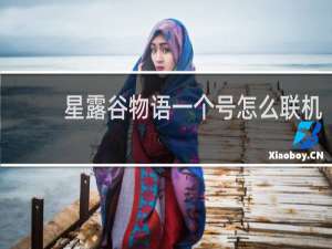 星露谷物语一个号怎么联机