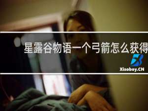 星露谷物语一个弓箭怎么获得