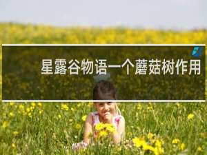 星露谷物语一个蘑菇树作用