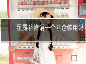 星露谷物语一个谷仓够用吗