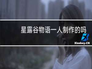 星露谷物语一人制作的吗