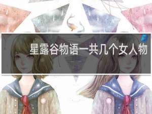 星露谷物语一共几个女人物