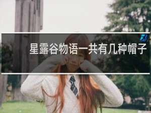 星露谷物语一共有几种帽子