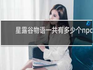 星露谷物语一共有多少个npc