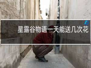 星露谷物语一天能送几次花