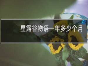 星露谷物语一年多少个月