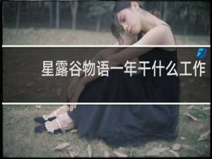 星露谷物语一年干什么工作