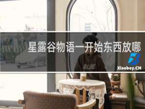 星露谷物语一开始东西放哪