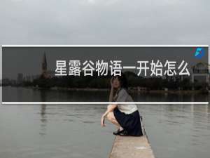 星露谷物语一开始怎么