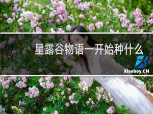 星露谷物语一开始种什么