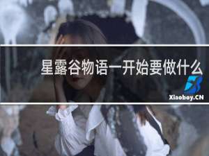 星露谷物语一开始要做什么