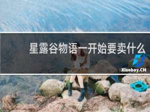 星露谷物语一开始要卖什么
