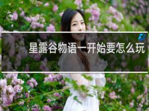 星露谷物语一开始要怎么玩