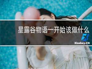 星露谷物语一开始该做什么