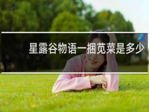 星露谷物语一捆苋菜是多少