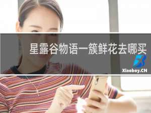 星露谷物语一簇鲜花去哪买