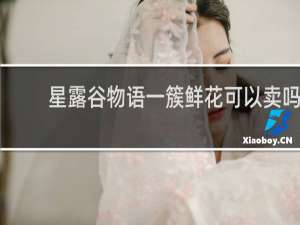 星露谷物语一簇鲜花可以卖吗