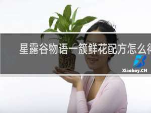 星露谷物语一簇鲜花配方怎么得