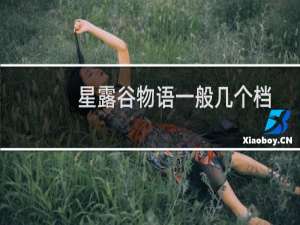 星露谷物语一般几个档