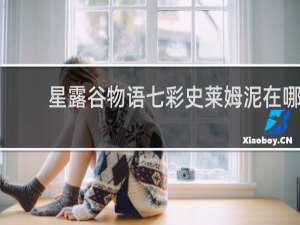 星露谷物语七彩史莱姆泥在哪