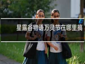 星露谷物语万灵节在哪里搞