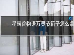 星露谷物语万灵节箱子怎么拿