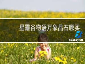 星露谷物语万象晶石哪买