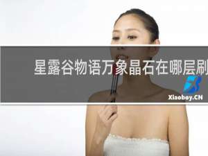 星露谷物语万象晶石在哪层刷