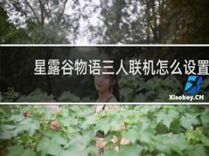 星露谷物语三人联机怎么设置