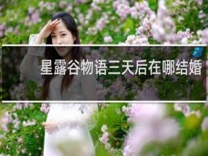 星露谷物语三天后在哪结婚