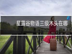 星露谷物语三级木头在哪