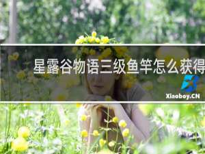 星露谷物语三级鱼竿怎么获得