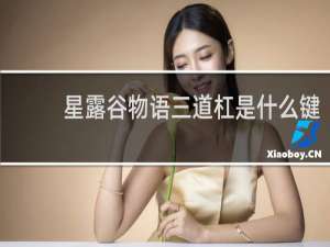 星露谷物语三道杠是什么键